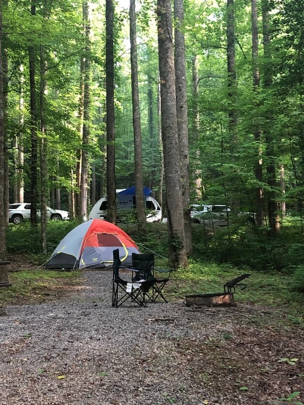 a campground in a pine tree mountain forest