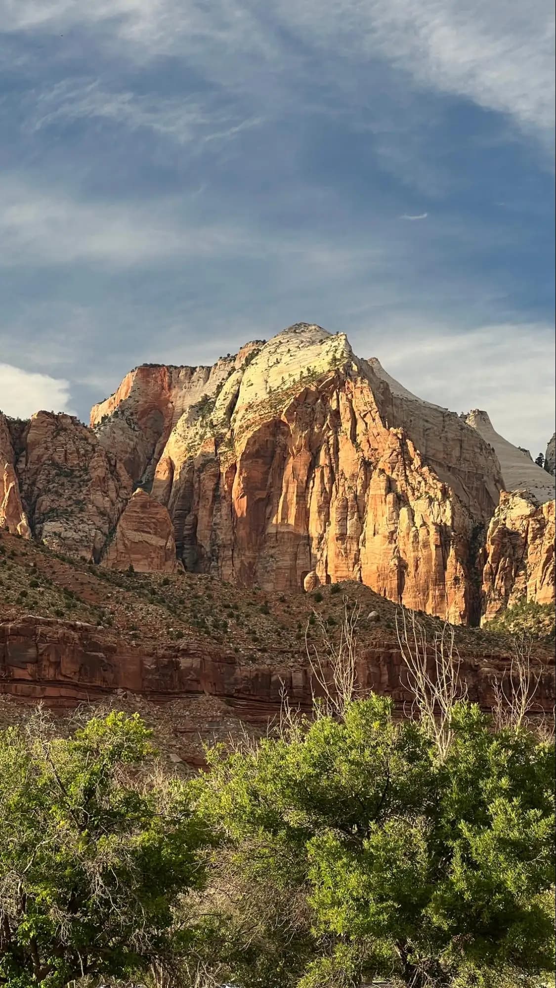 colorful sandstone cliffside at Zion National Park.