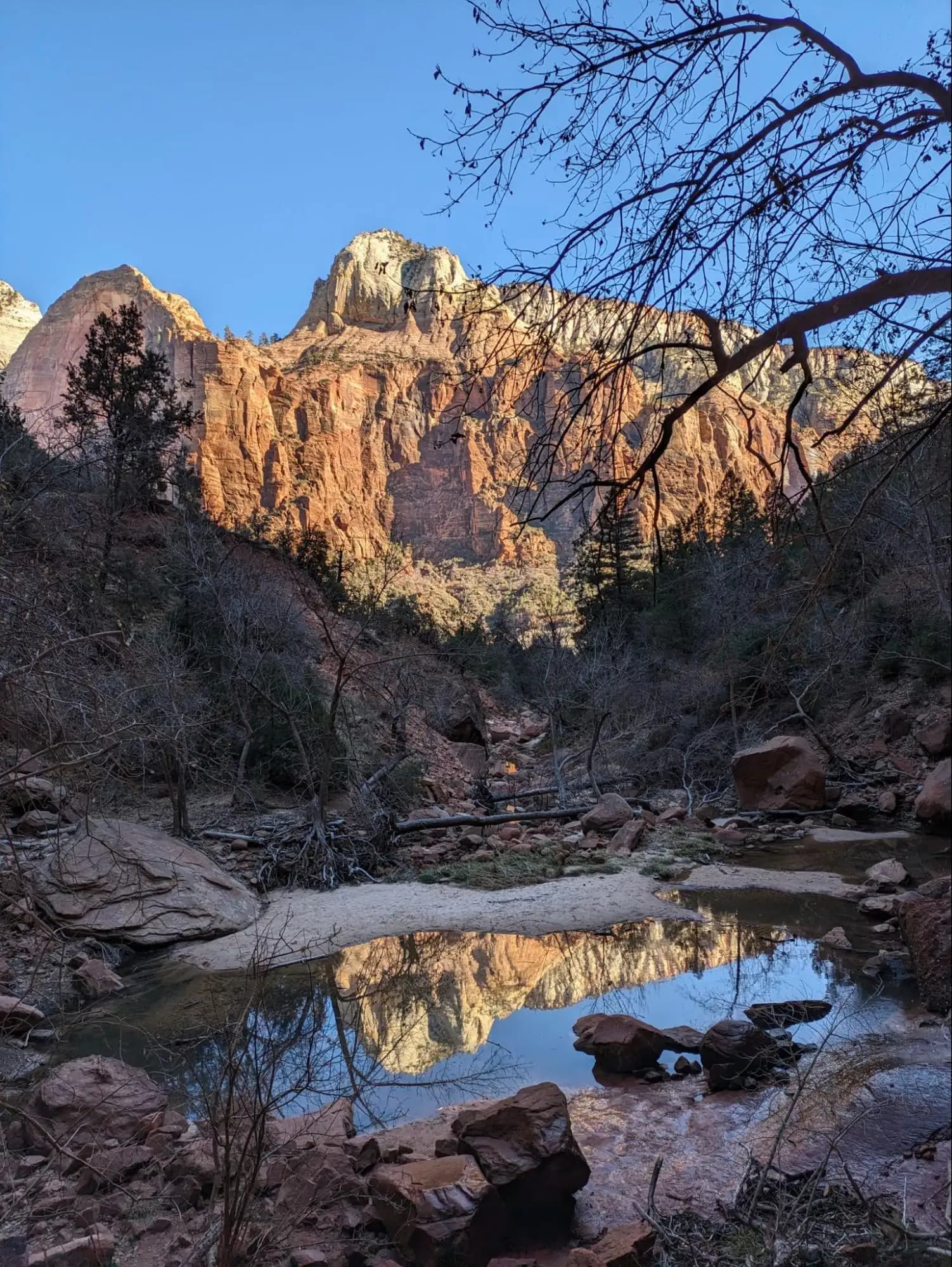 a small pool of water with a cliff in the background