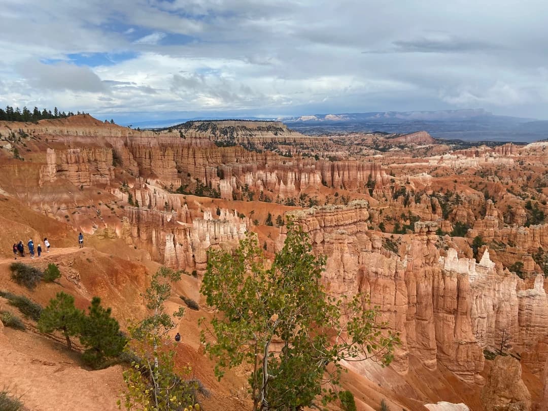 a view from the top of a canyon with red rock formations