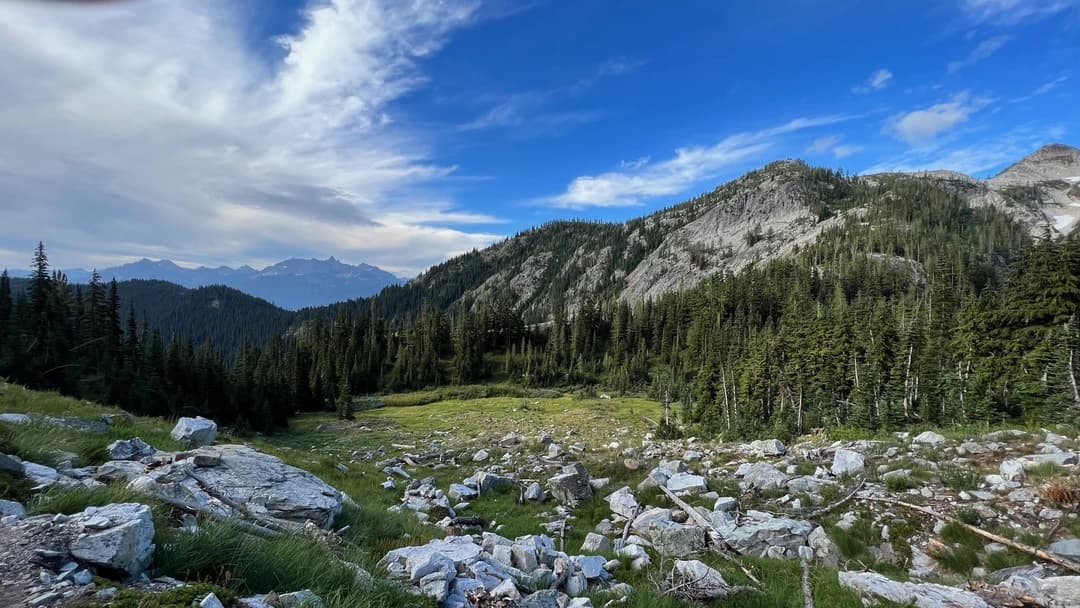 view of a field full of large boulders with a mountain range and pine trees in the background