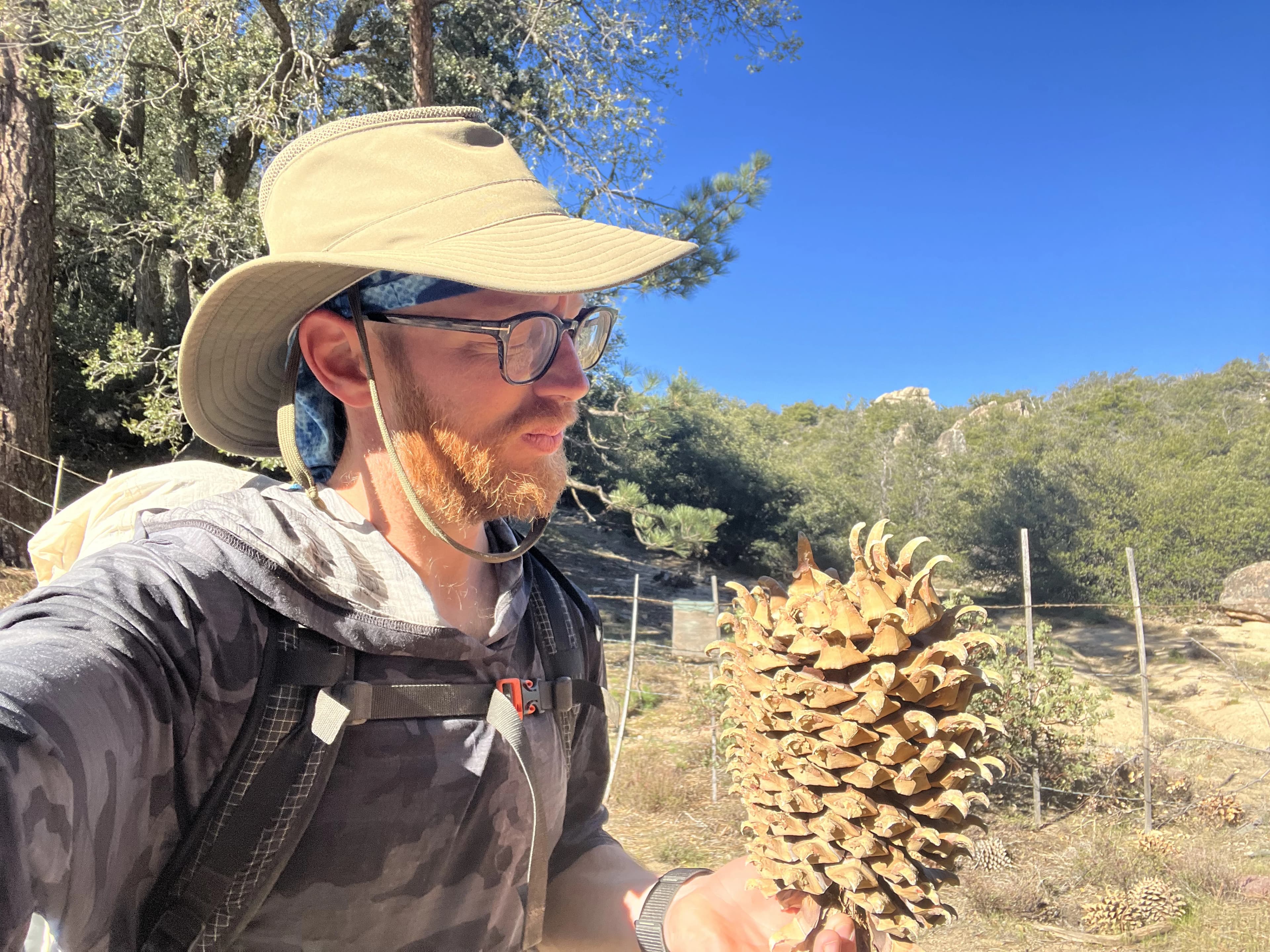 hiker with large pinecone