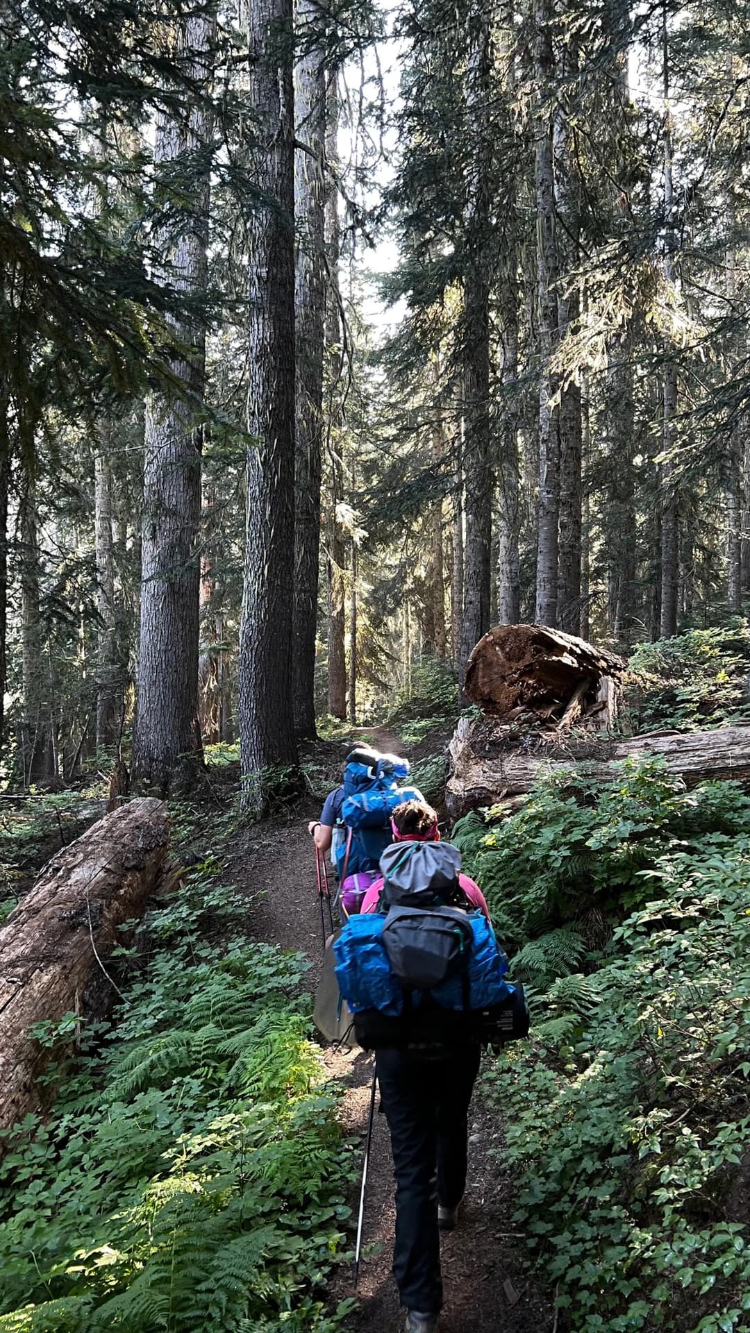 two people hiking through the north cascades national park