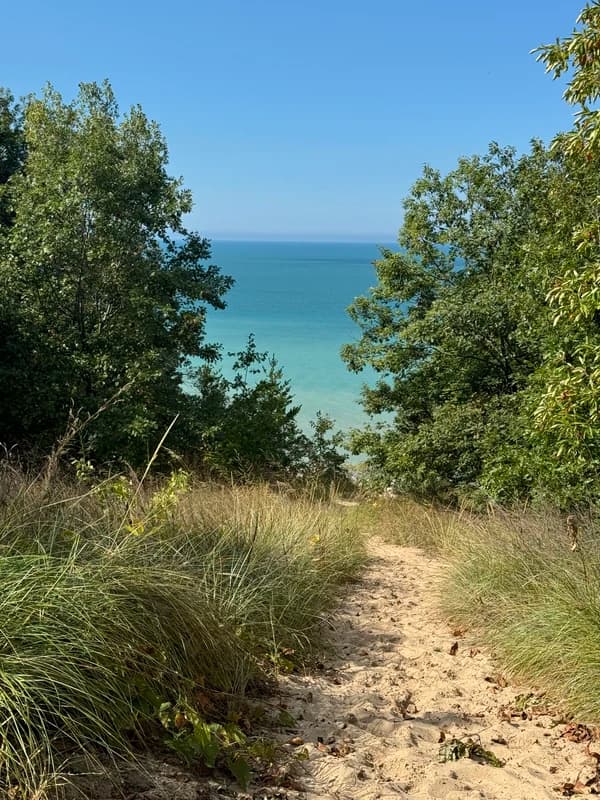 a dusty trail in indiana dunes state park with high grass on each side