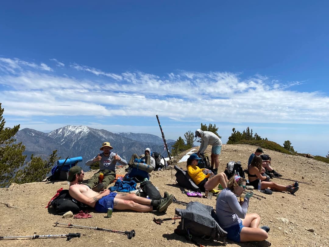 jackrabbit chilling on a cliff with friends