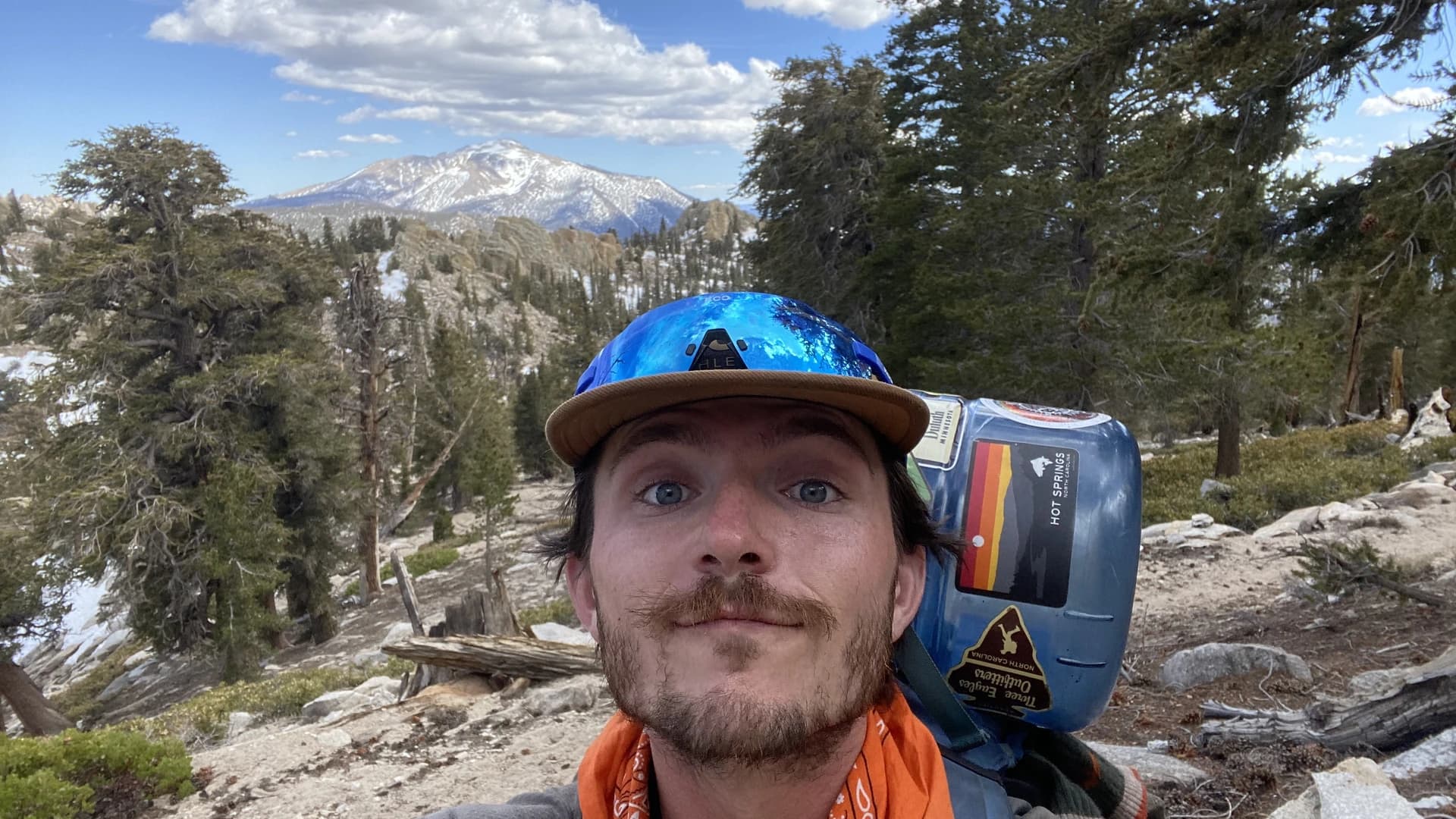 Jackrabbit braving the mountain elements