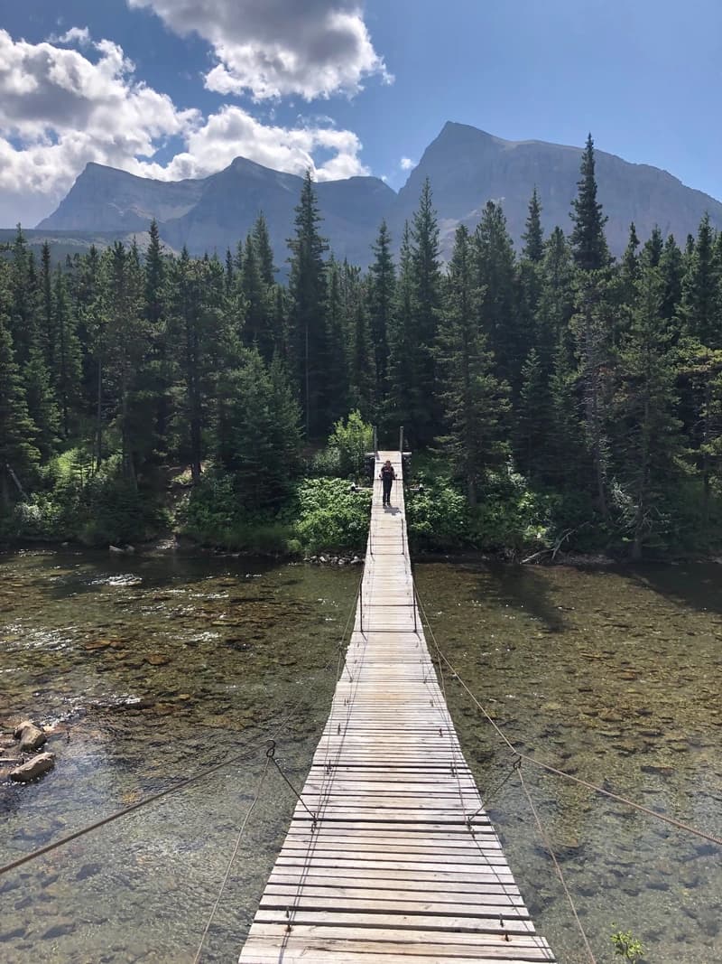 a low profile suspension bridge of a pristine creek