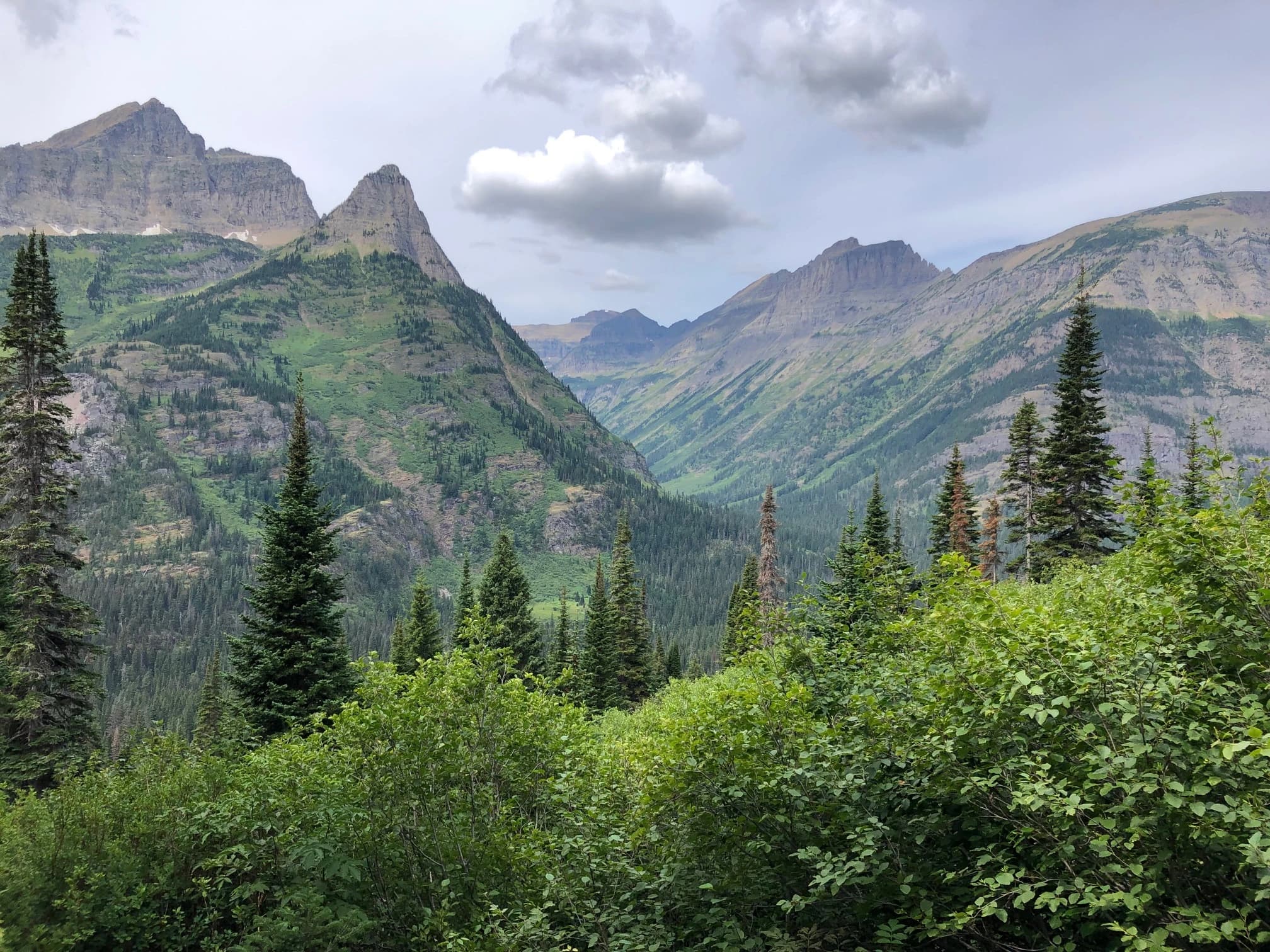 a view of mountains and valleys with pine trees