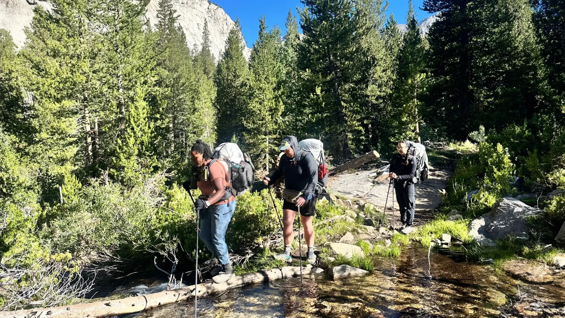 Taneika creek crossing