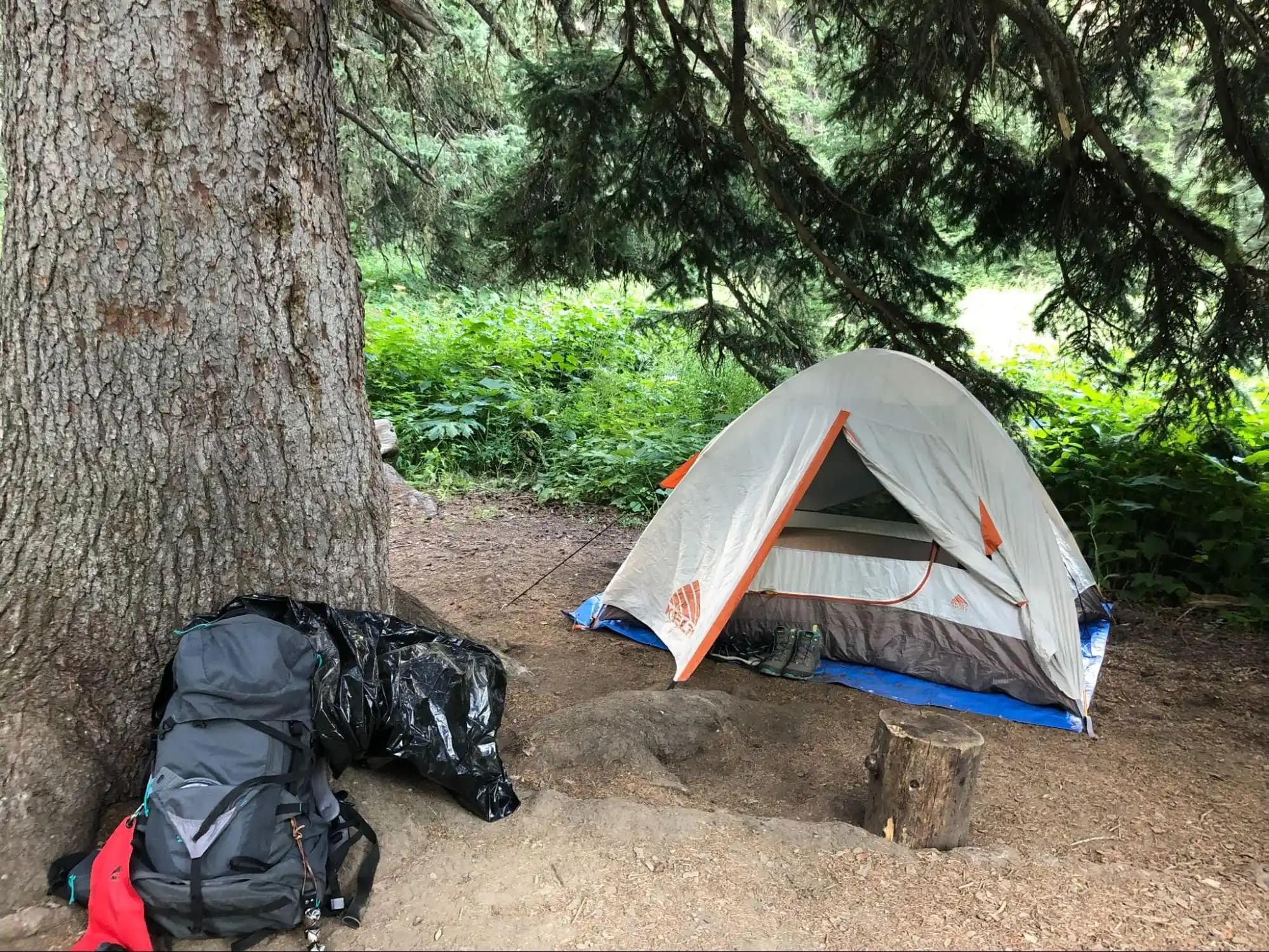 a campsite with a tent and properly stored trash