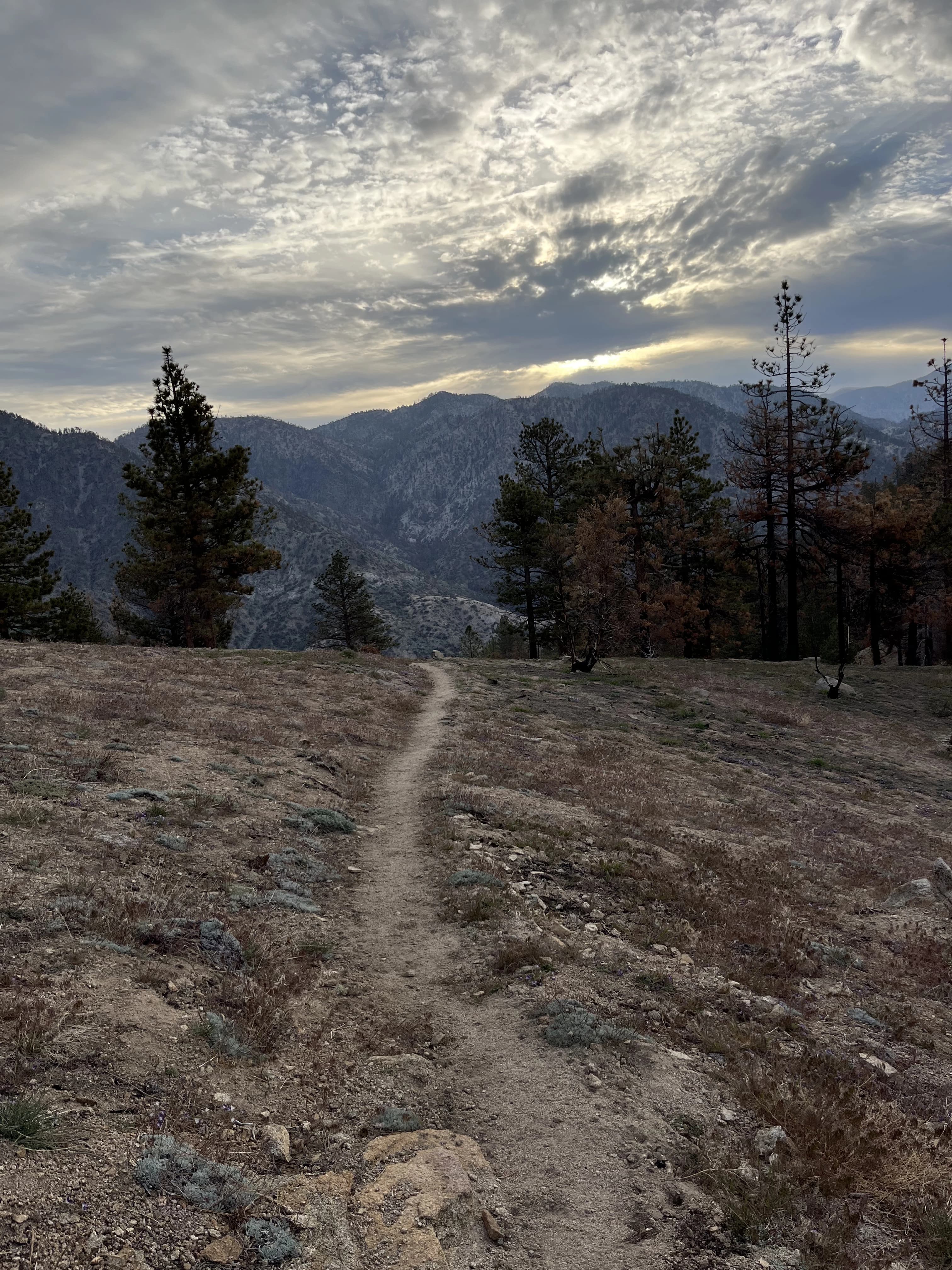 Trail disappearing over a hill and into the foothills of large, snowy mountains