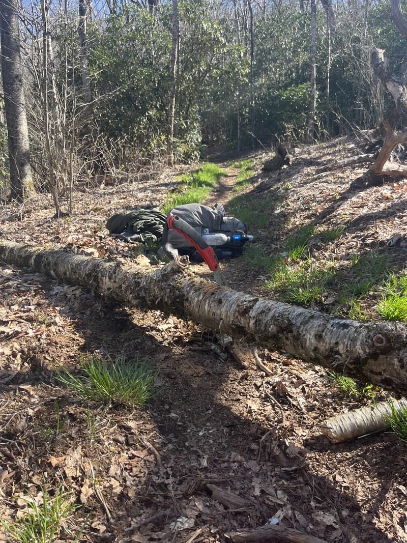 a trail saw wedged into a fallen tree