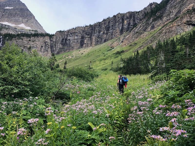 a valley full of beautiful different color wildflowers
