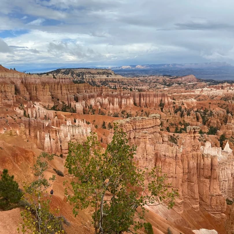 a view from the top of a canyon with red rock formations