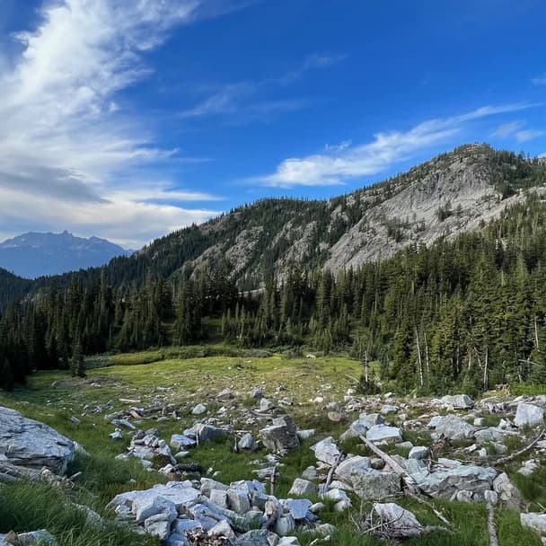 view of a field full of large boulders with a mountain range and pine trees in the background