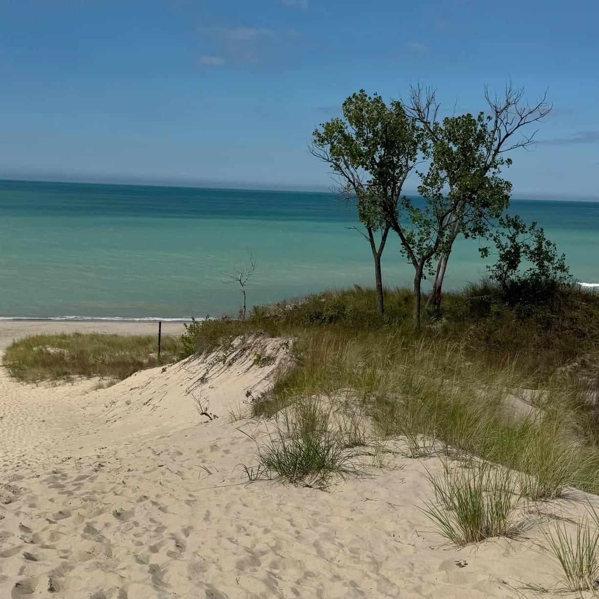 View of the Indiana Dunes along Lake Michigan