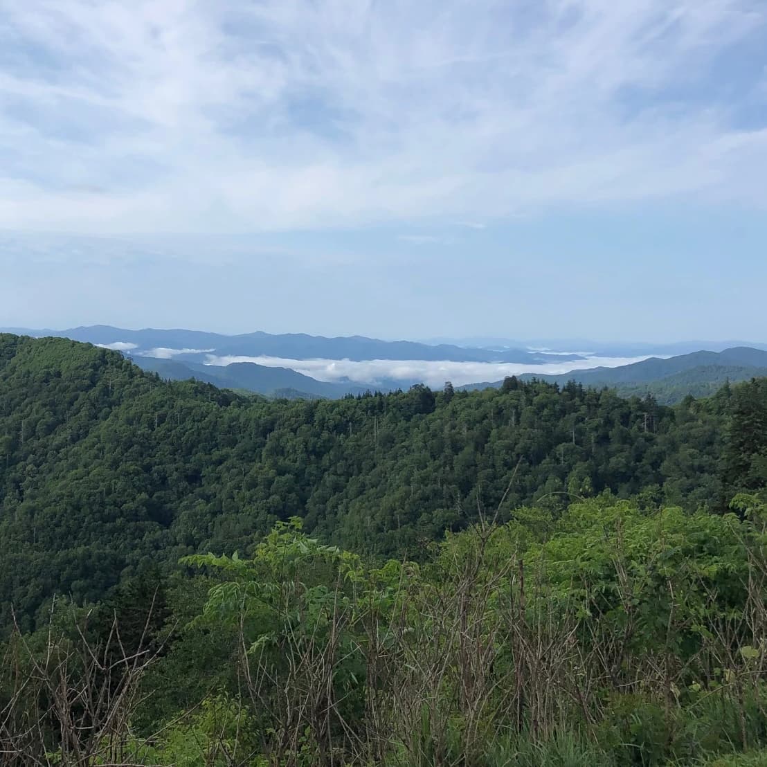the majestic great smoky mountains national park